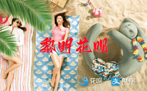 泥牛入海花呗
